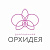 Драгоценная Орхидея